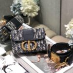 Christian Dior Montaigne Vanity Black Bag